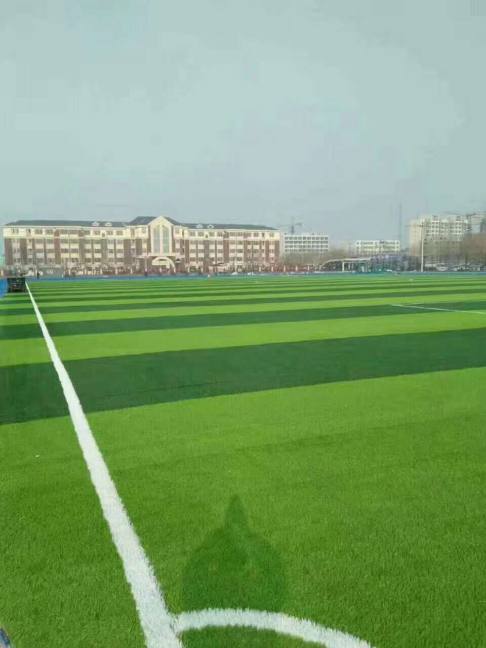 龙岩市epdm颗粒仿真草坪 - 一站式服务
